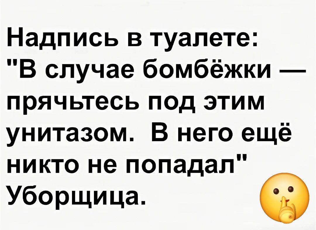 Надпись в туалете В случае бомбёжки прячьтесь под этим унитазом В него ещё никто не попадал Уборщица е