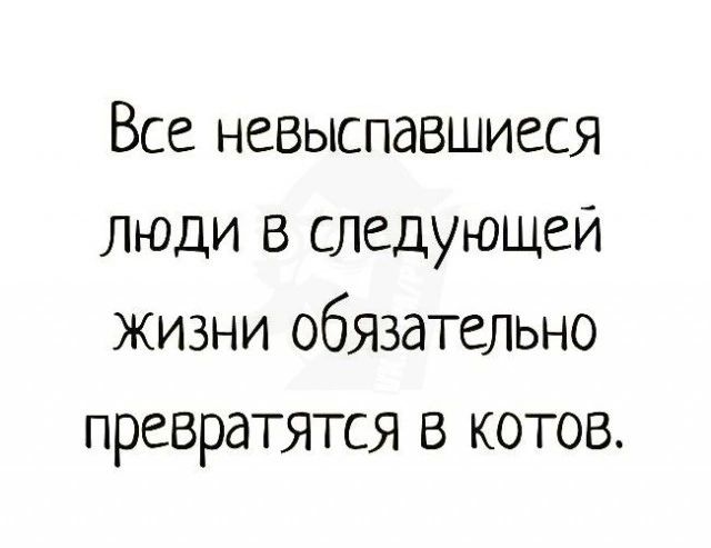 Все невыспавшиеся люди в следующей жизни обязательно превратятся в котов