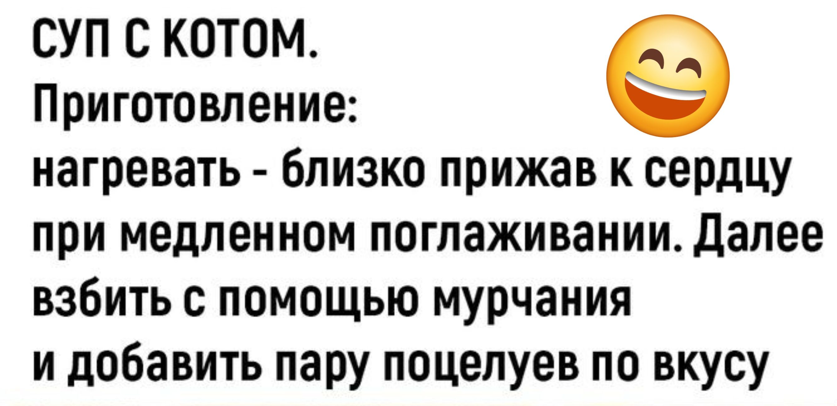 СУП С КОТОМ Приготовление нагревать близко прижав к сердцу при медленном поглаживании Далее взбить с помощью мурчания и добавить пару поцелуев по вкусу