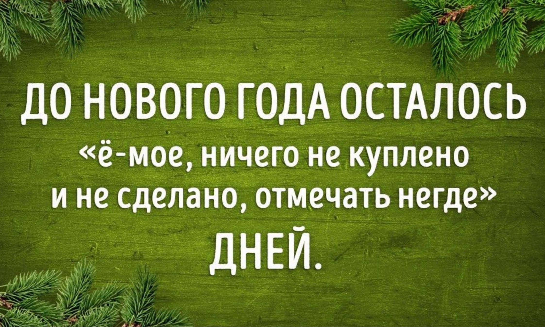 ДО НОВОГО ГОДА ОСТАЛОСЬ ё мое ничего не куплено и не сделано отмечать негде ДНЕЙ