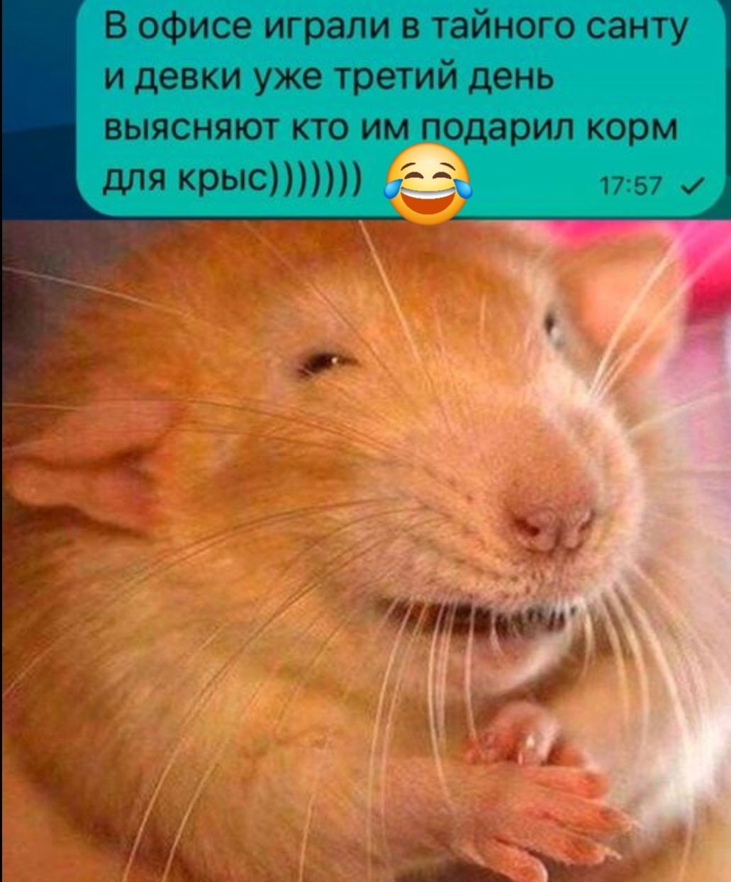 ТИ ТРО р ч