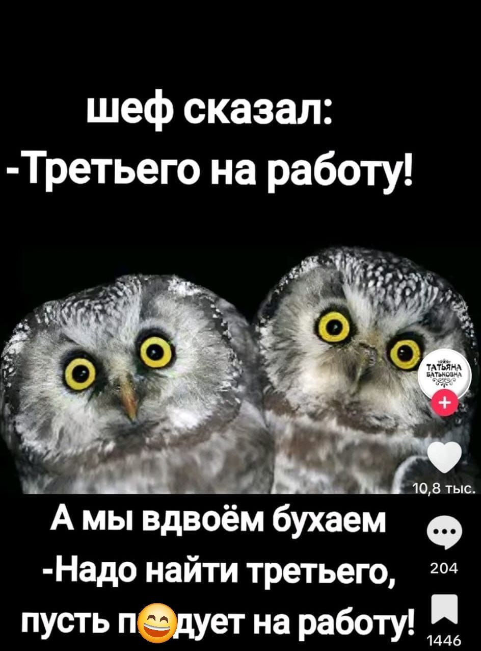 шеф сказал Третьего на работу Амы вдвоем бухаем Ф Надо найти третьего пусть пдует на работу я 1446