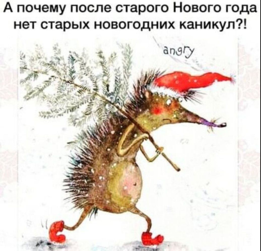А почему после старого Нового года нет старых новогодних каникул
