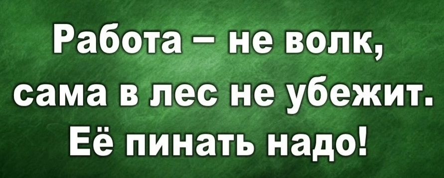 Работа_не волк сама в лес не убежит Её пинать надо