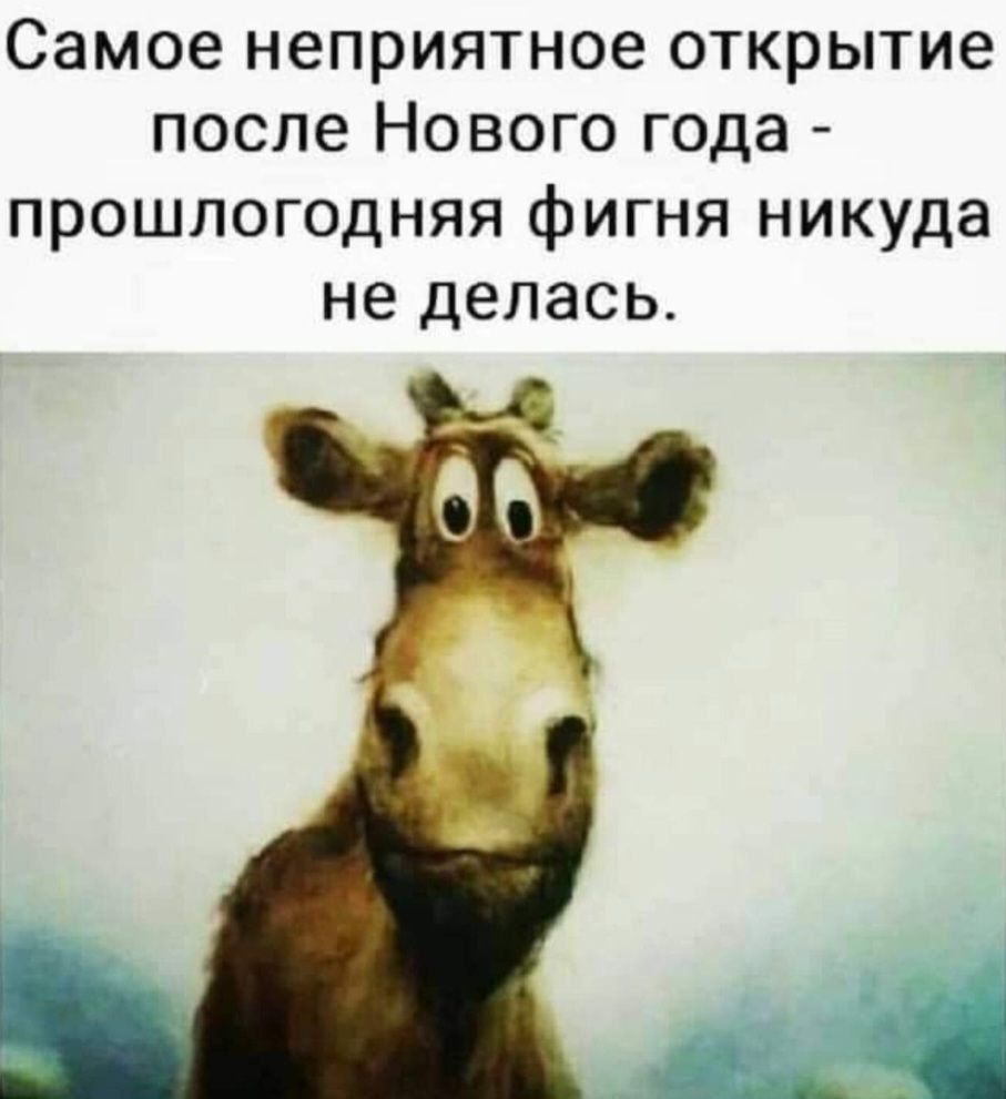 Самое неприятное открытие после Нового года прошлогодняя фИГНЯ никуда не делась р