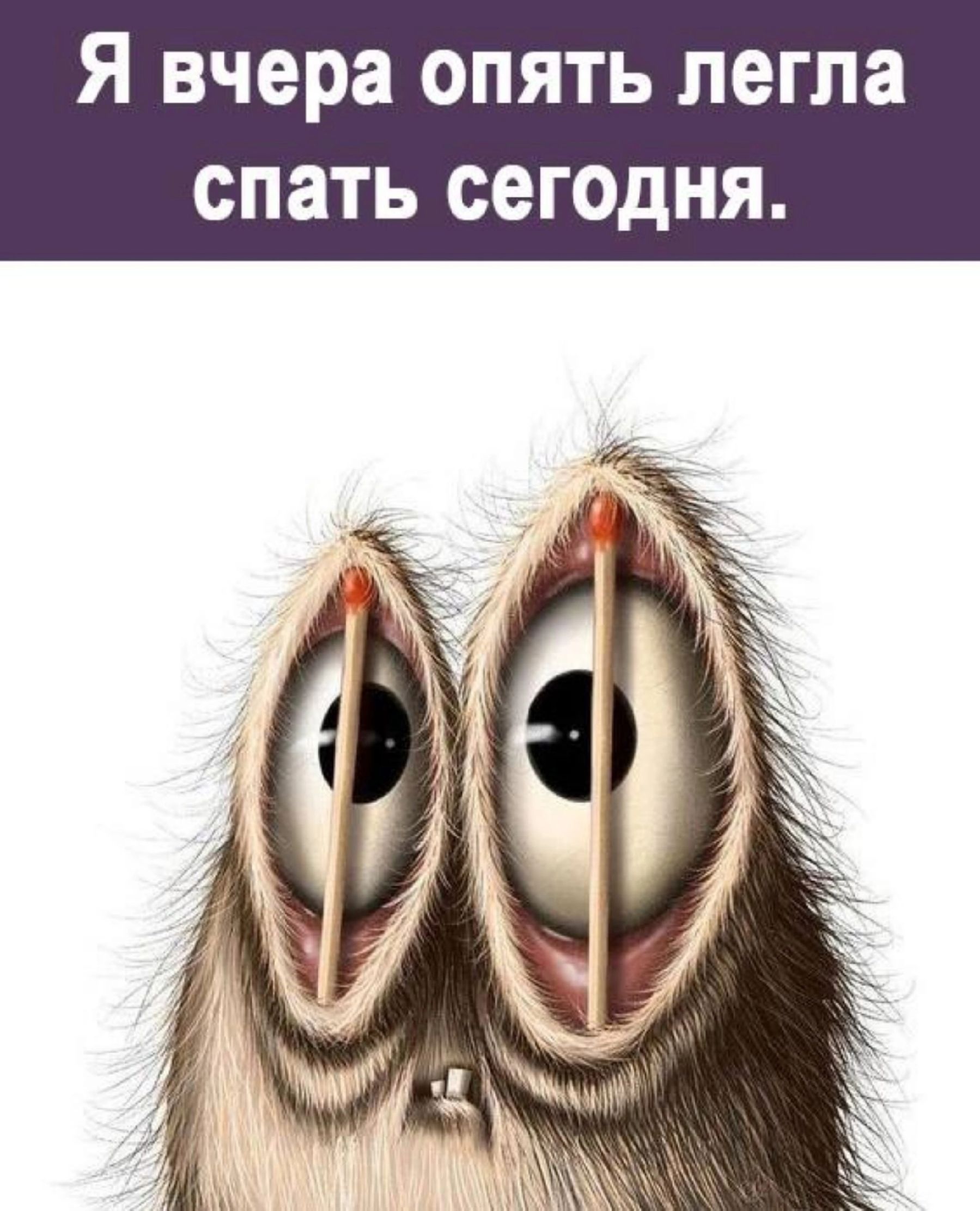 Я вчера опять легла спать сегодня