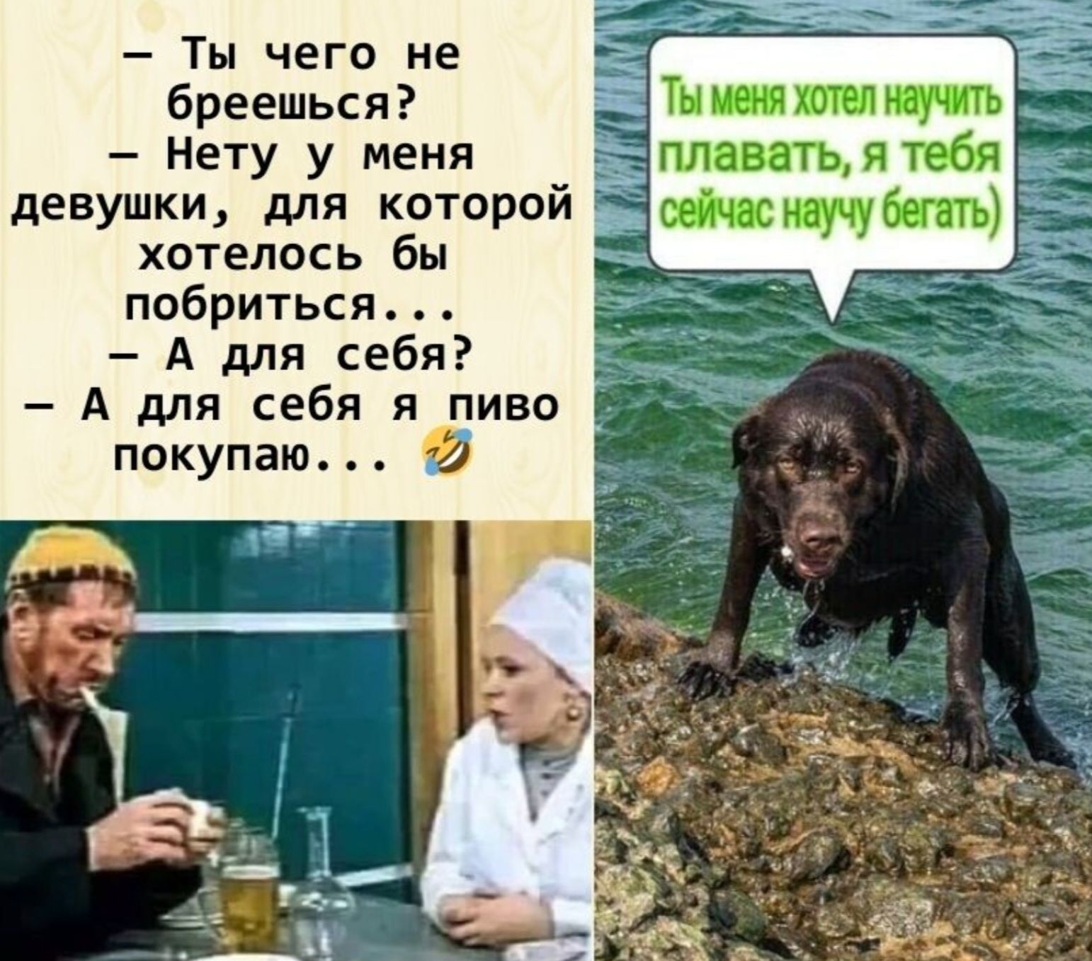 Ты чего не бреешься Нету у меня девушки для которо хотелось бы побриться А для с А для себя я пиво покупаю 2