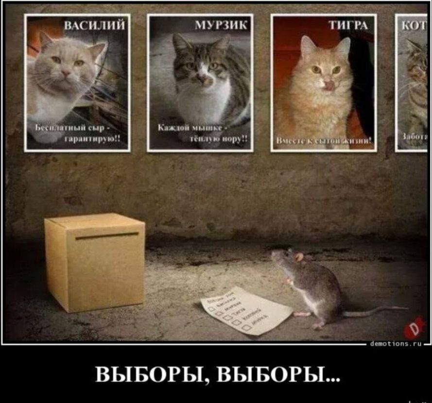 ВЫБОРЫ ВЫБОРЫ