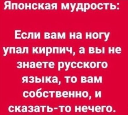 Ы_п_г_ упал кирпич а вы знаете русского языка то вам