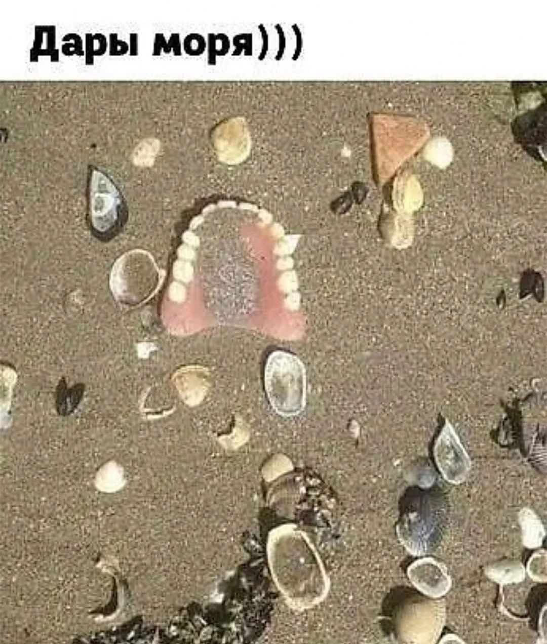 Дары моря