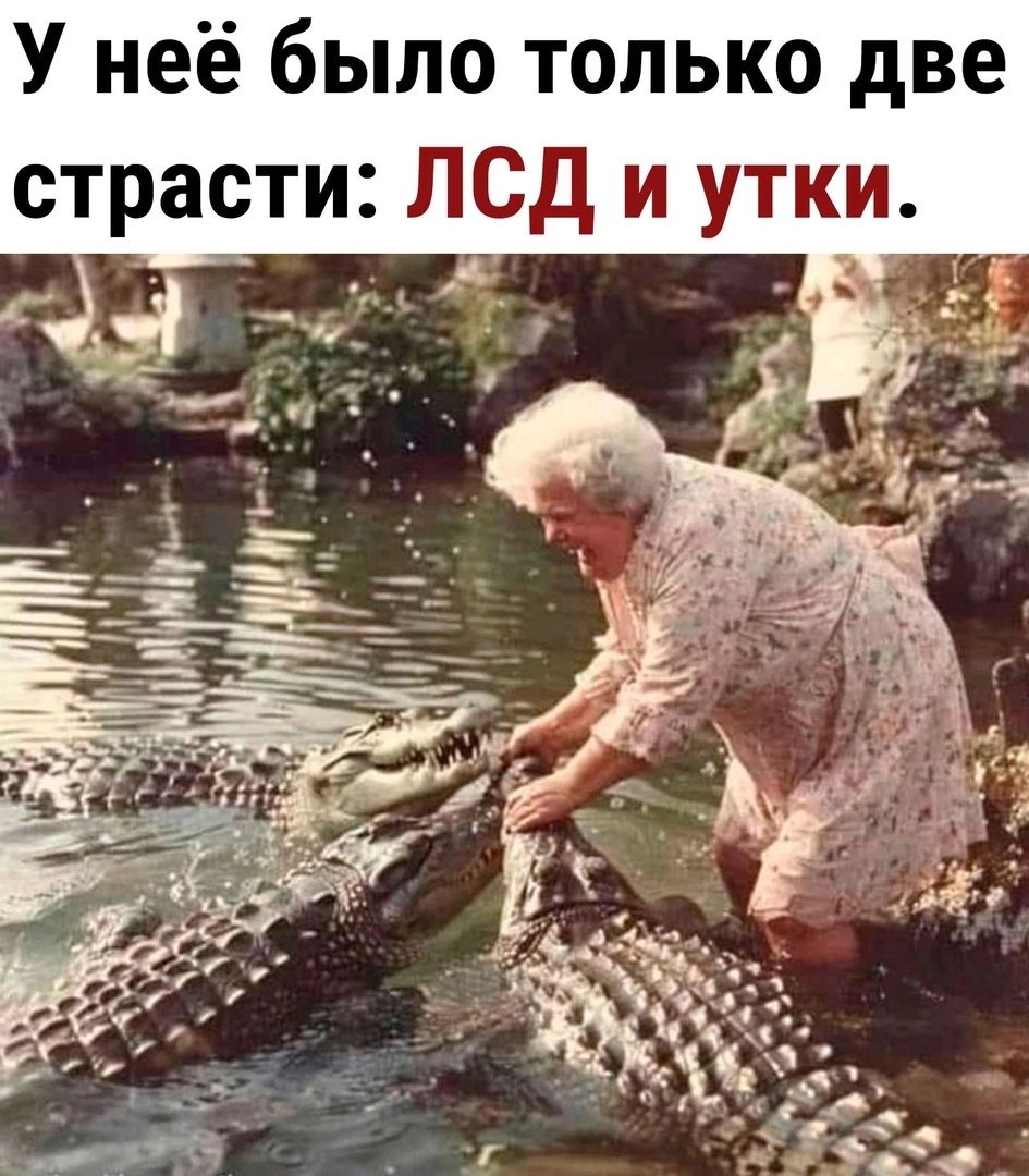 У неё было только две страсти ЛСД и утки А