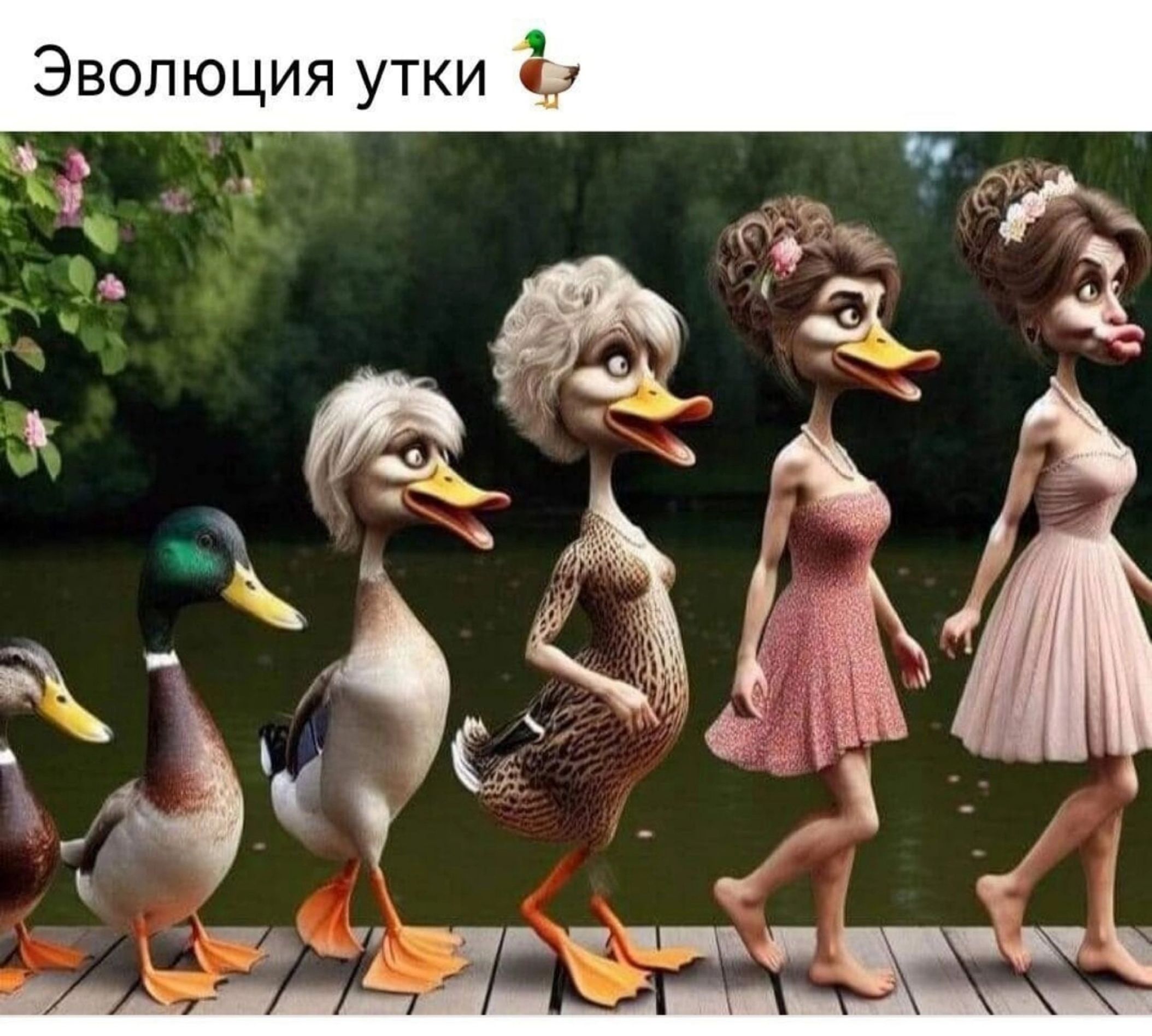 Эволюция утки в