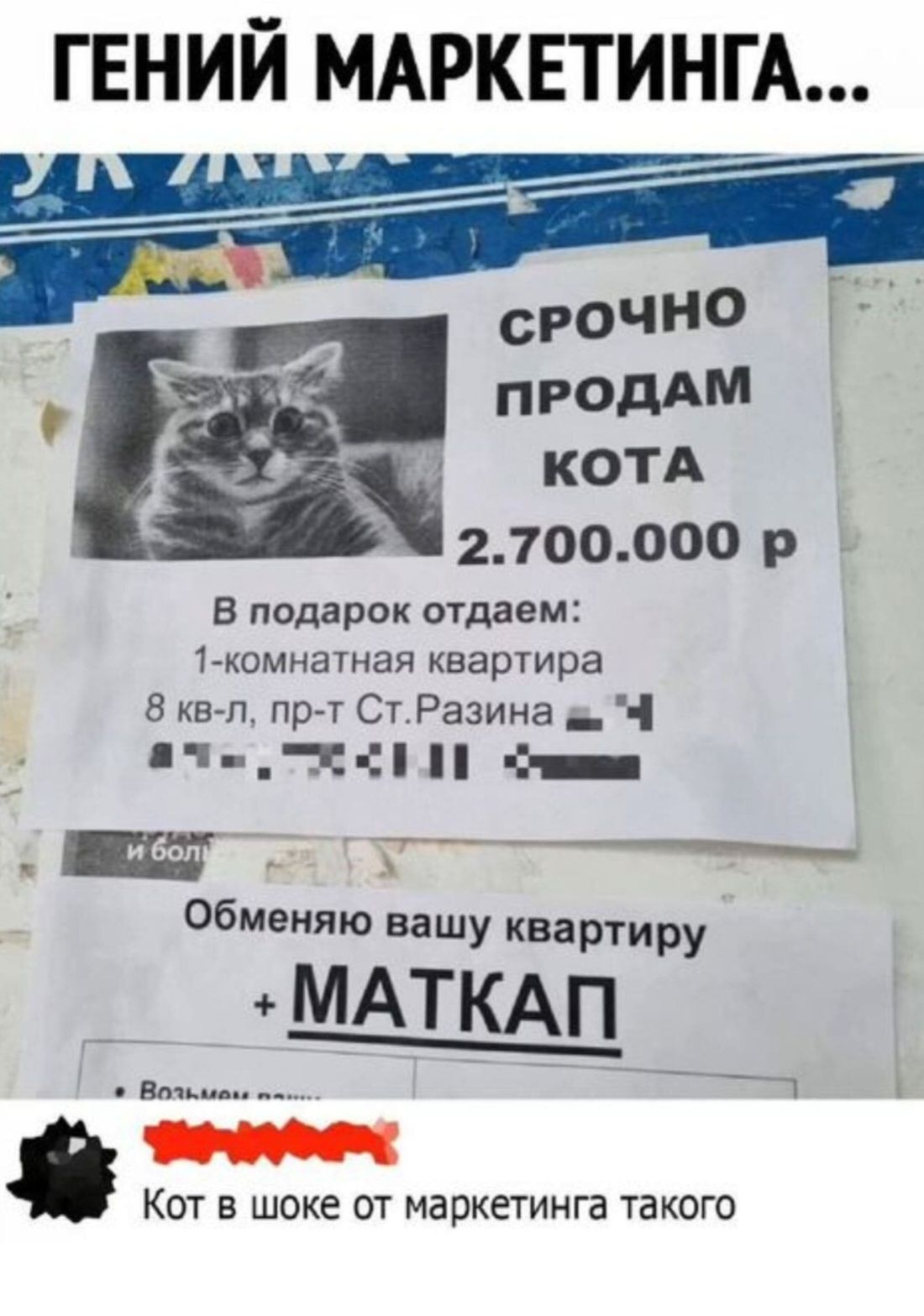 ГЕНИЙ МАРКЕТИНГА сРоЧНОо ПРОДАМ КОТА 2700000 р В подарок отдаем 1 комнатная квартира 8 кв л пр т СтРазина а 4 л аче Х СН лнная Е2 о Обменяю вашу квартиру МАТКАП Каа а Кот в шоке от маркетинга такого н