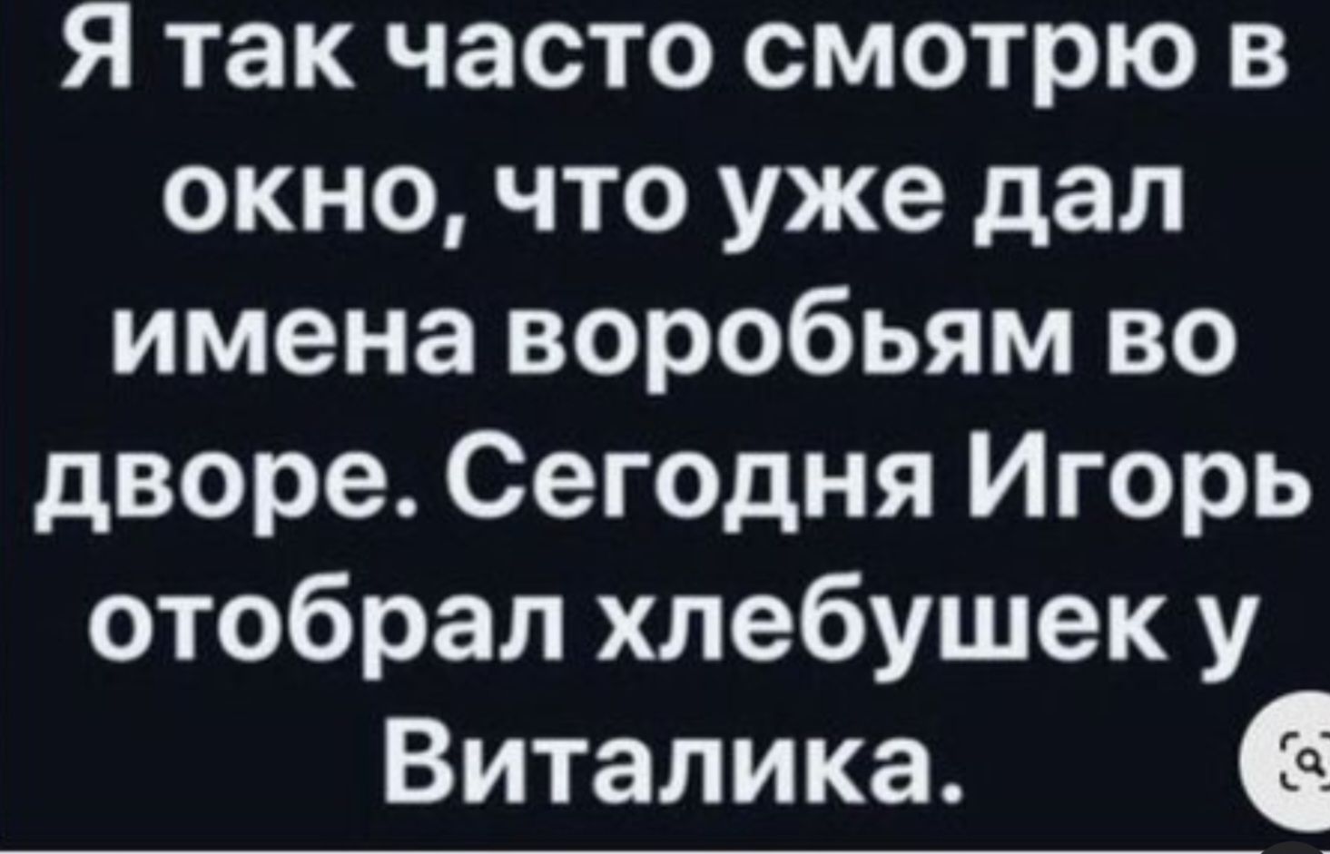 Я так часто смотрю в окно что уже дал имена воробьям во дворе Сегодня Игорь отобрал хлебушек у Виталика