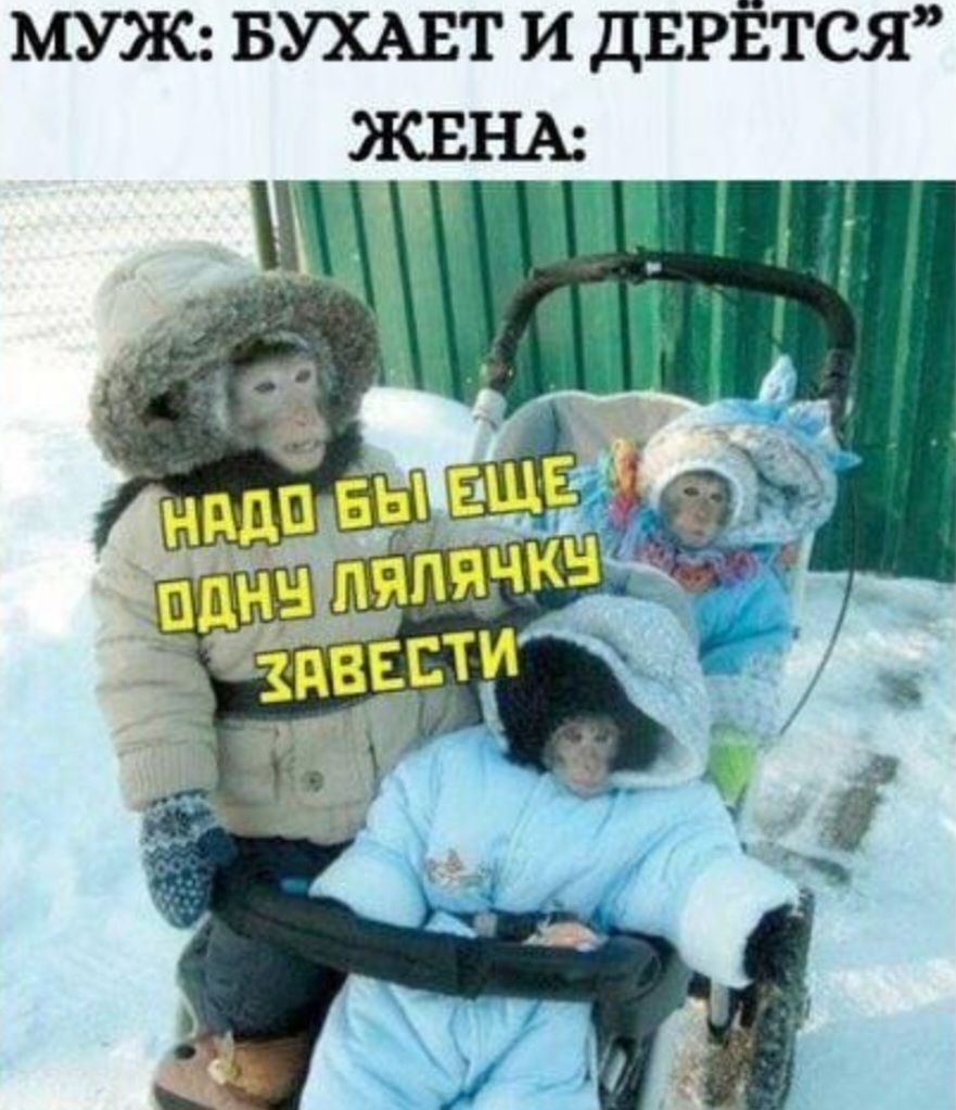 МУЖ БУХАЕТ И ДЕРЁЕТСЯ