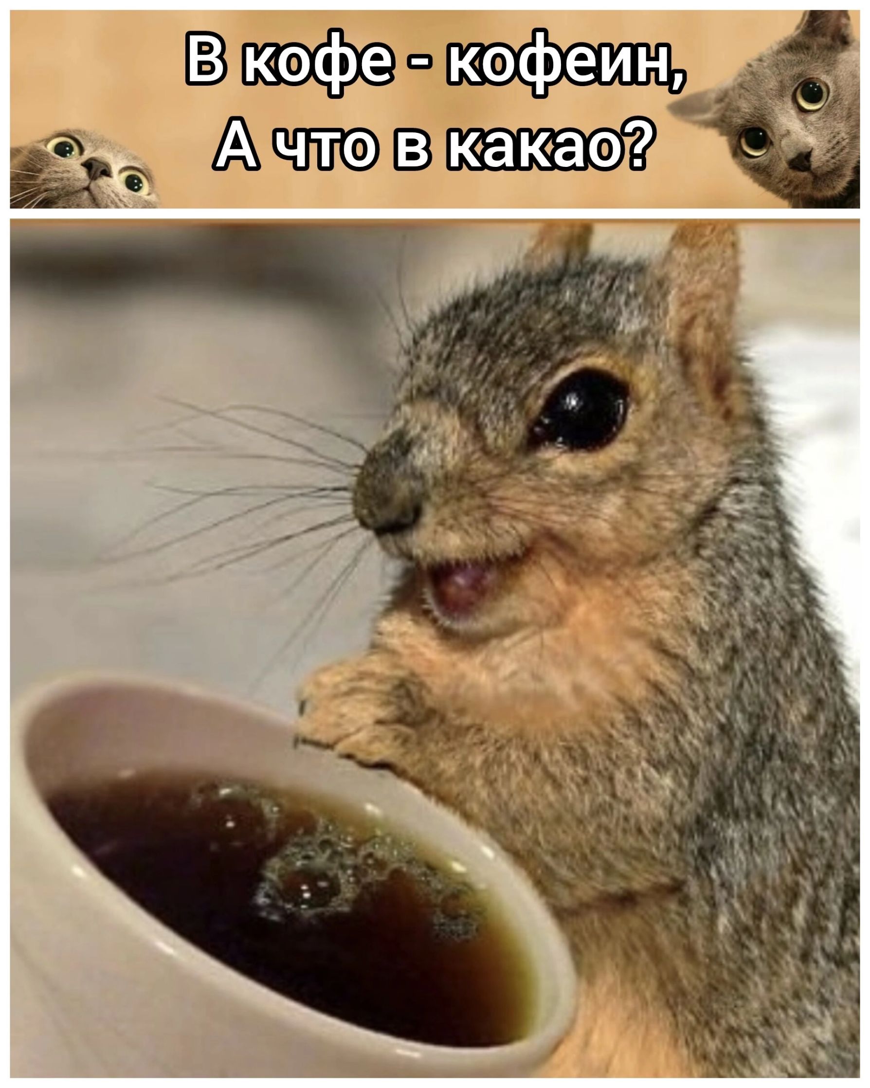 Вкофекофеин Ачловкакаор