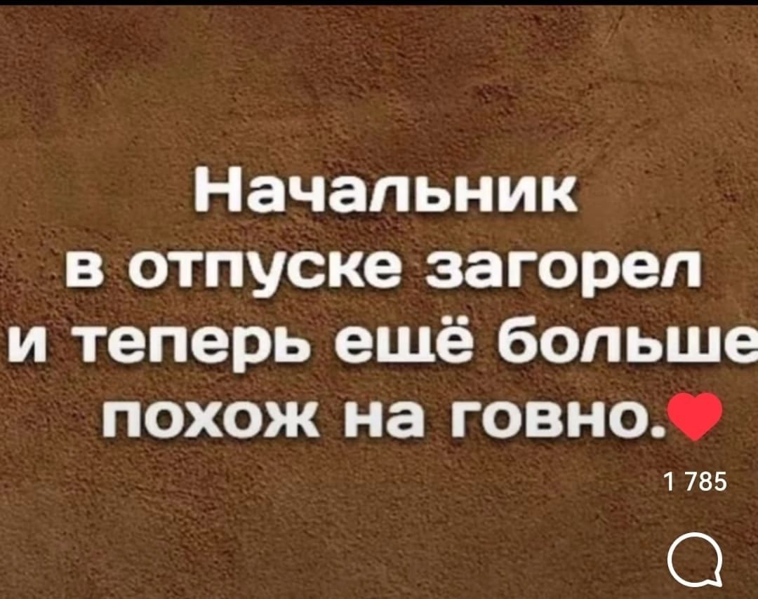 Начальник в отпуске загорел и теперь ешё больше похож на говноФ 1785