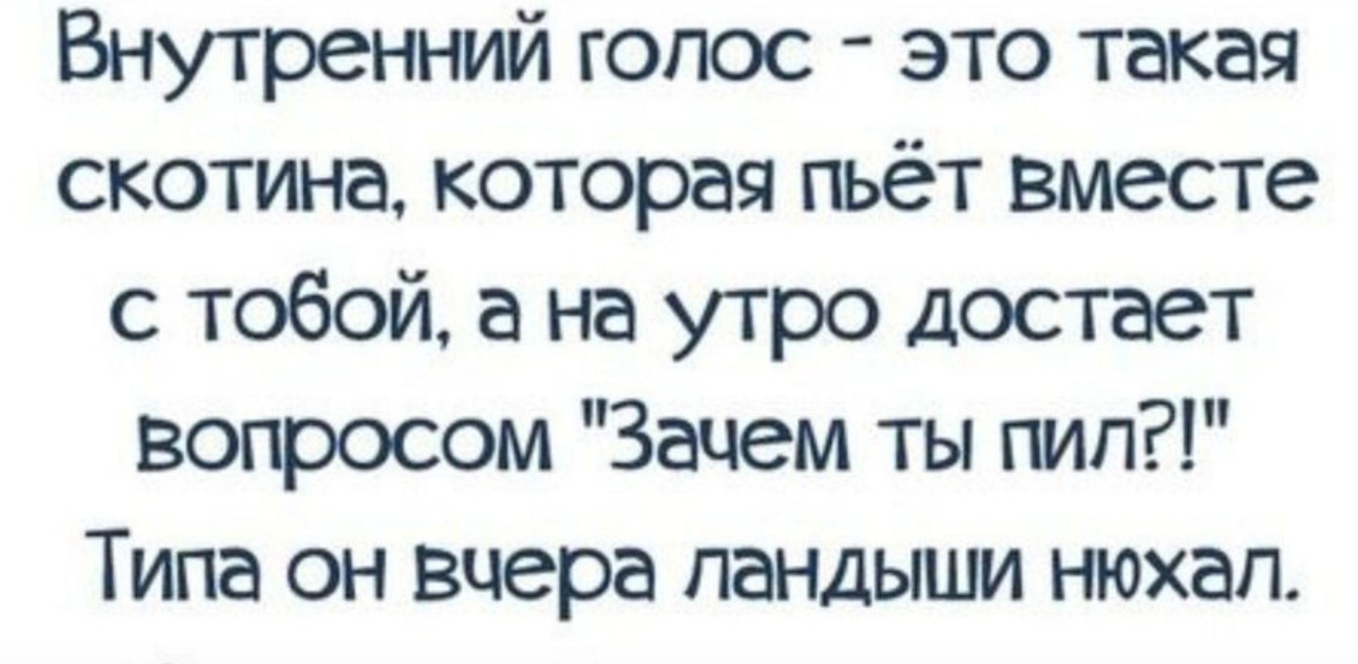 Внутренний голос это такая скотина которая пьёт вместе с тобой а на утро достает вопросом Зачем ты пиле Типа он вчера лендыши нюхал