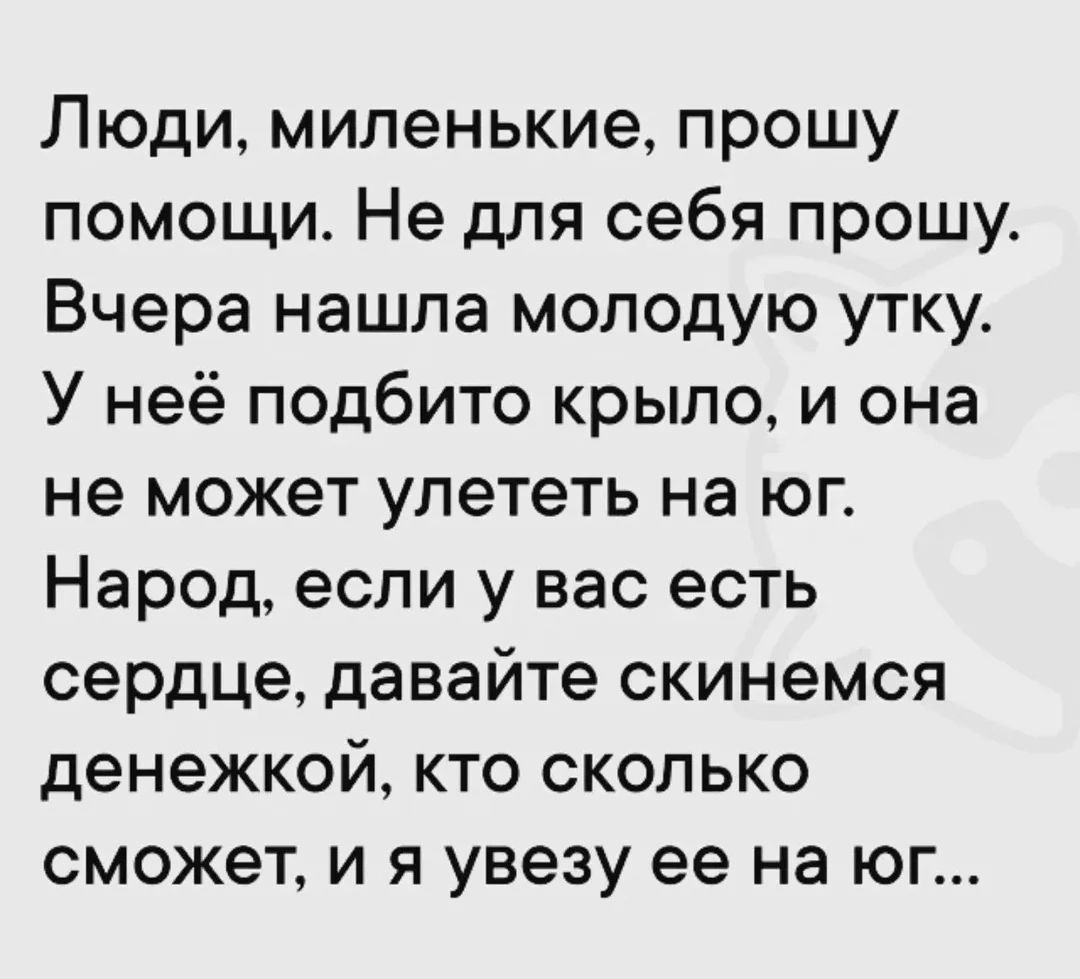 Люди, миленькие, прошу помощи. Не для себя прошу. Вчера нашла молодую утку. У неё подбито крыло, и она не может улететь на юг. Народ, если у вас есть сердце, давайте скинемся денежкой, кто сколько сможет, и я увезу ее на юг...