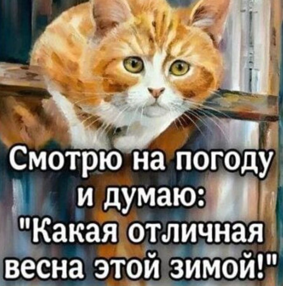 Смотрю на погоду и думаю: 