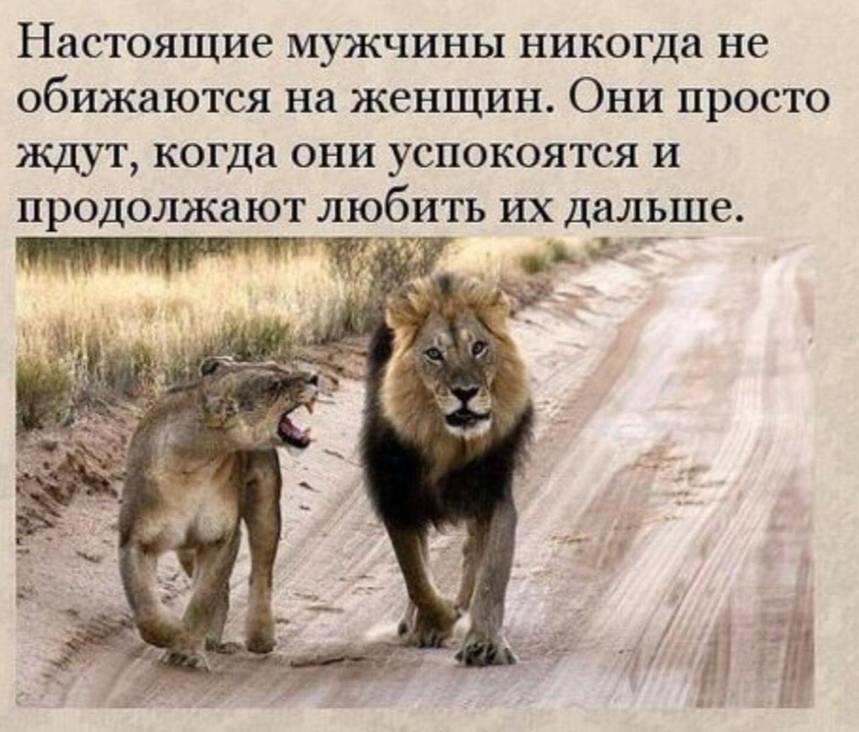 Настоящие мужчины никогда не обижаются на женщин. Они просто ждут, когда они успокоятся и продолжают любить их дальше.