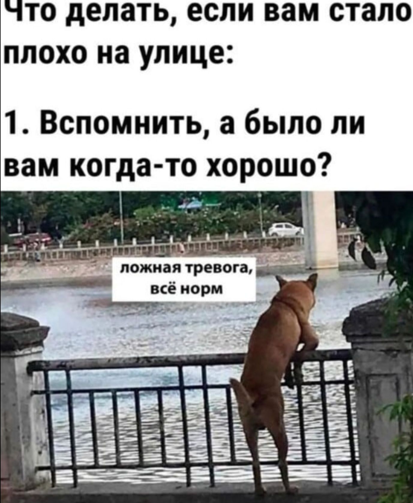 Что делать, если вам стало плохо на улице:
1. Вспомнить, а было ли вам когда-то хорошо?
ложная тревога, всё норм