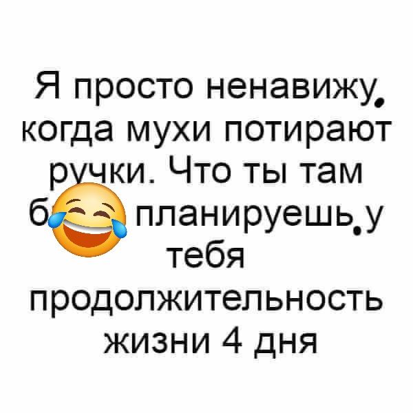 Я просто ненавижу, когда мухи потирают ручки. Что ты там б планируешь. у тебя продолжительность жизни 4 дня 😂