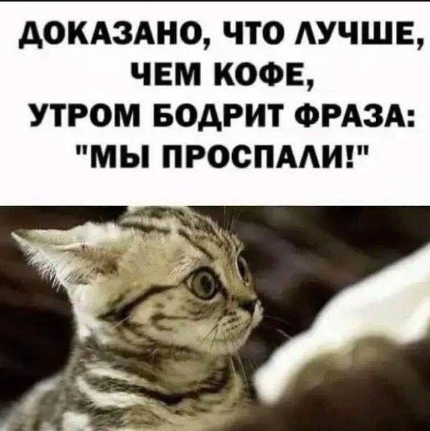 ДОКАЗАНО, ЧТО ЛУЧШЕ, ЧЕМ КОФЕ, УТРОМ БОДРИТ ФРАЗА: 