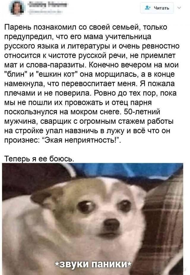 Парень познакомил со своей семьей, только предупредил, что его мама учительница русского языка и литературы и очень ревностно относится к чистоте русской речи, не приемлет мат и слова-паразиты. Конечно вечером на мои 