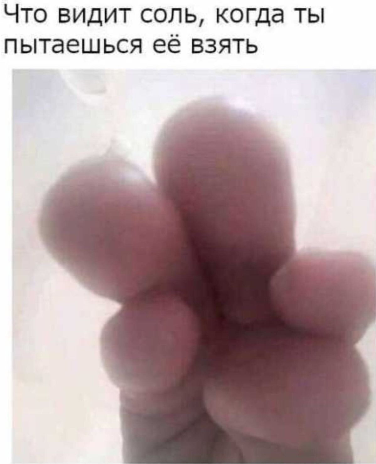 Что видит соль, когда ты пытаешься её взять