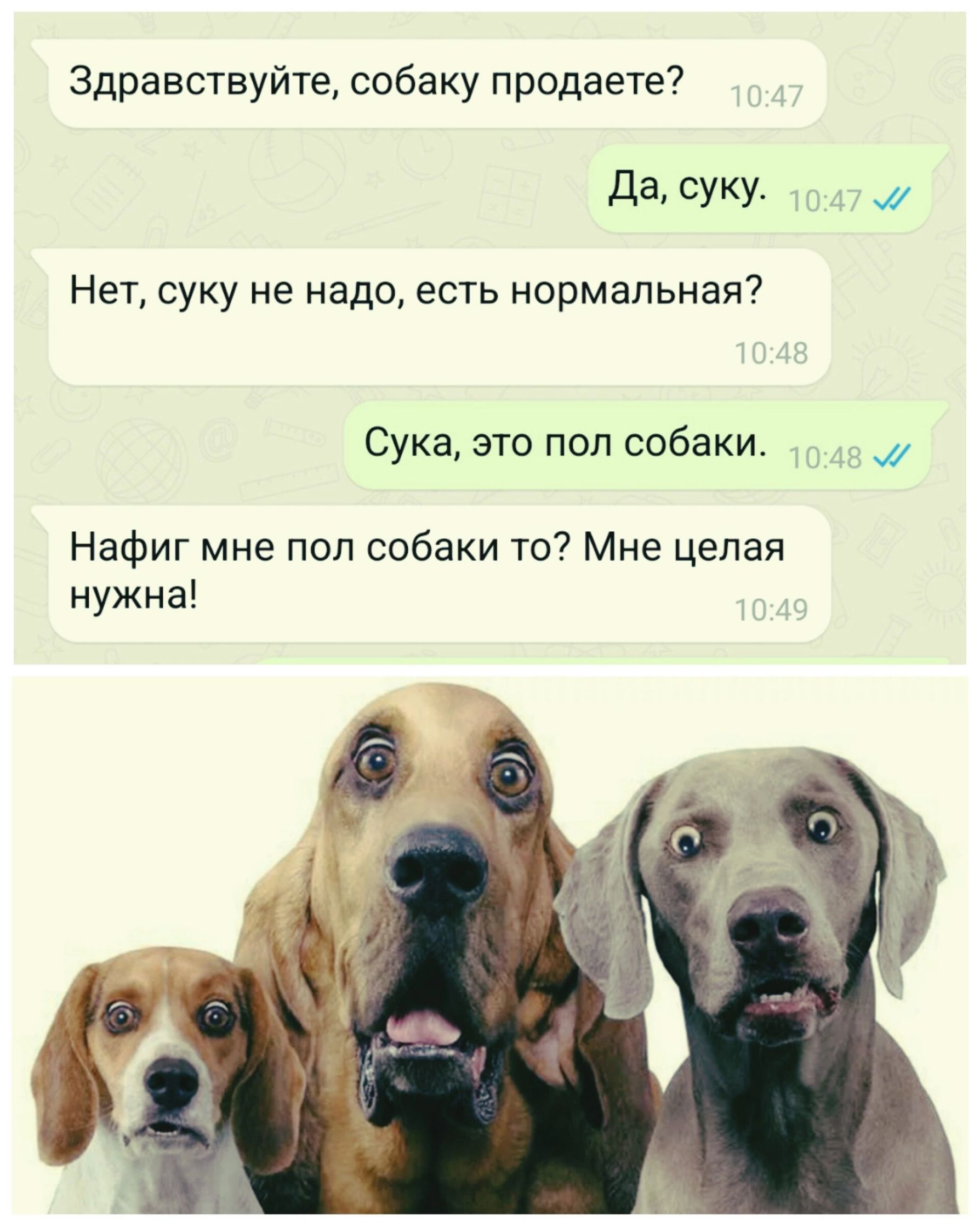 Здравствуйте, собаку продаете?
Да, суку.
Нет, суку не надо, есть нормальная?
Сука, это пол собаки.
Нафиг мне пол собаки то? Мне целая нужна!