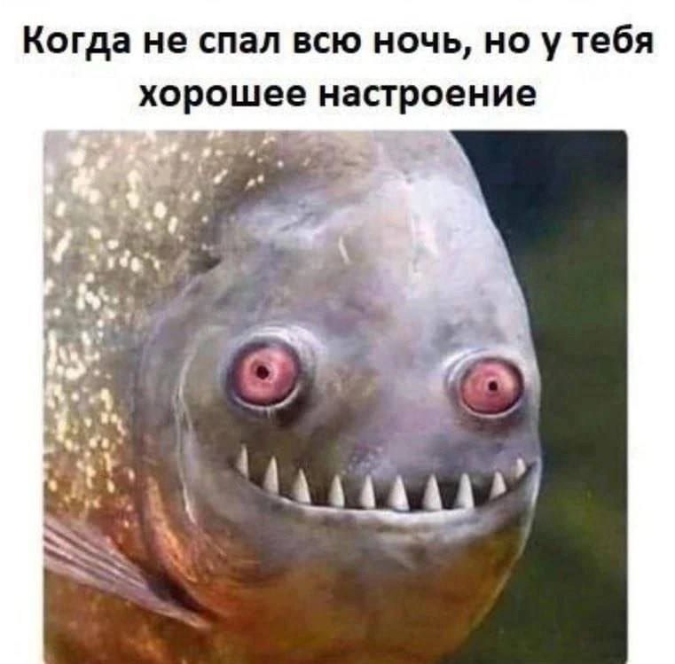 Когда не спал всю ночь, но у тебя хорошее настроение