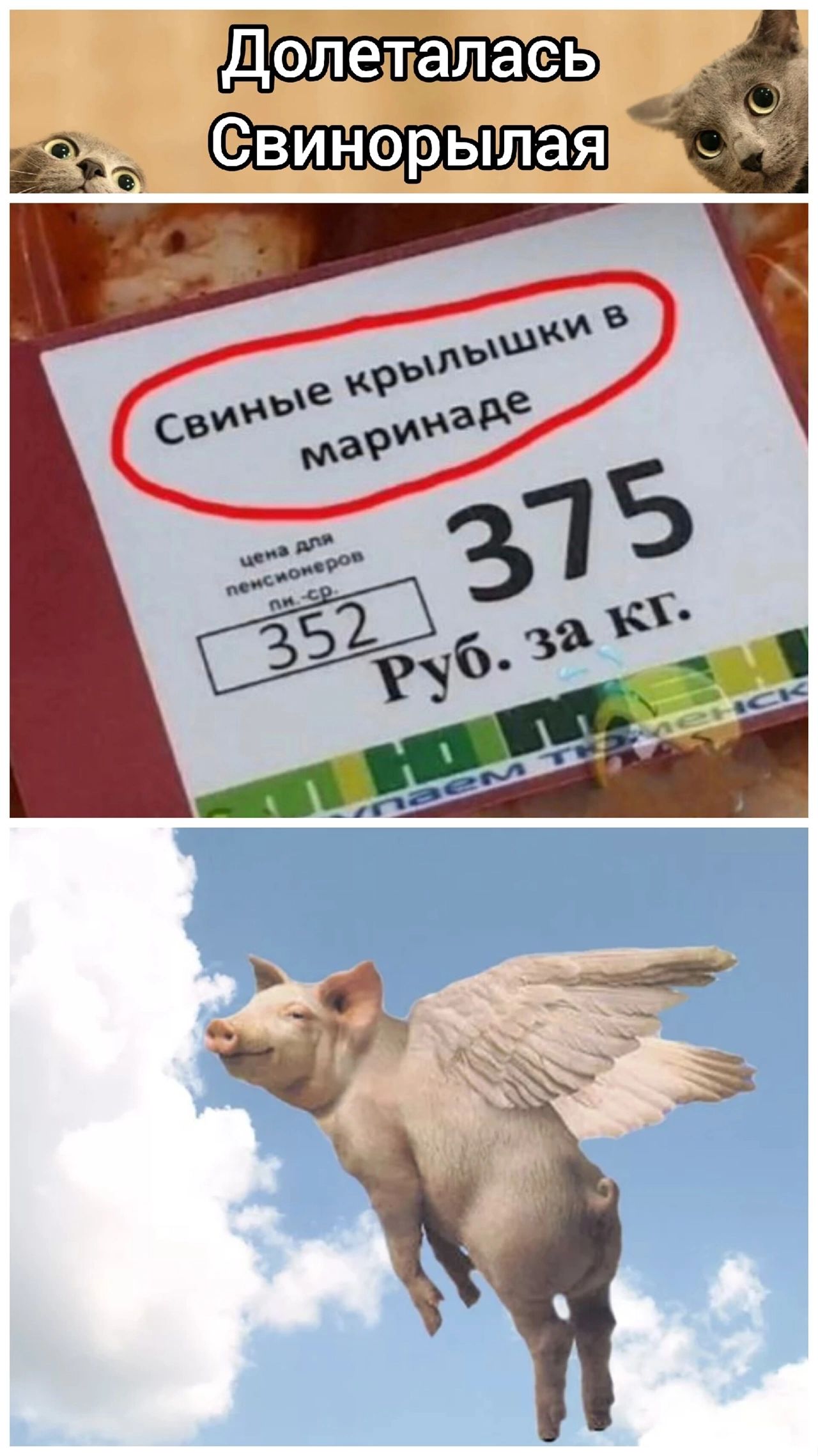 Долеталась Свинорылая
Свиные крылышки в маринаде
375
Руб. за кг.
