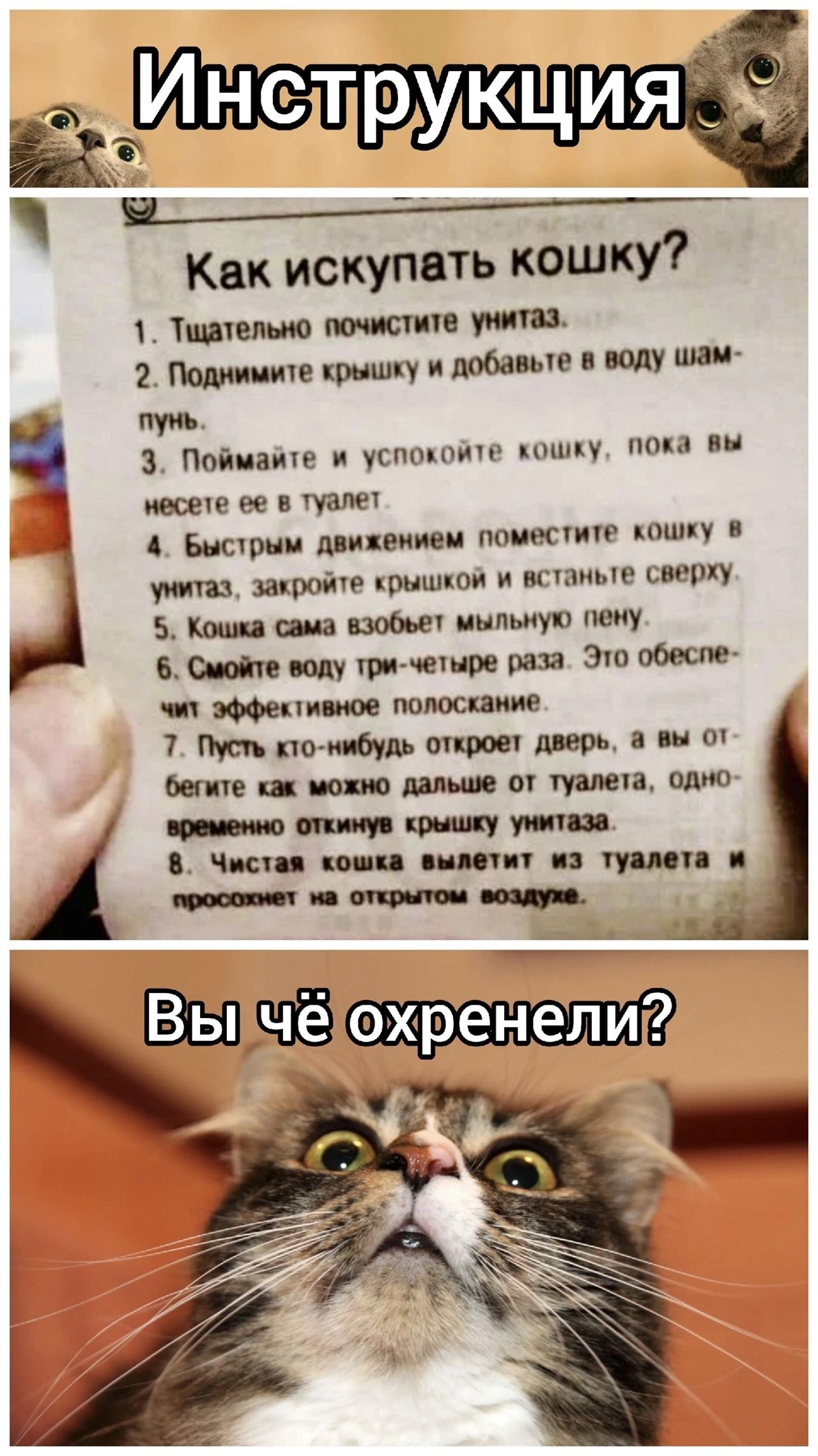 Инструкция
Как искупить кошку? 1. Тщательно почистите унитаз. 2. Поднимите крышку и добавьте в воду шампунь. 3. Поймайте и успокойте кошку, пока вы не решили ее в туалет. 4. Быстрым движением поместите кошку в унитаз, закройте крышкой и встаньте сверху. 5. Кошка сама изберет мыльную пену. 6. Смойте воду три-четыре раза. Это обеспечит чистое полоскание. 7. Пусть кто-нибудь откроет дверь, а вы отобьетесь как можно дальше от туалета, одновременно открыл крышку унитаза. 8. Чистка кошка вылетит из туалета и проснется на открытом воздухе.
Вы чё охренели?