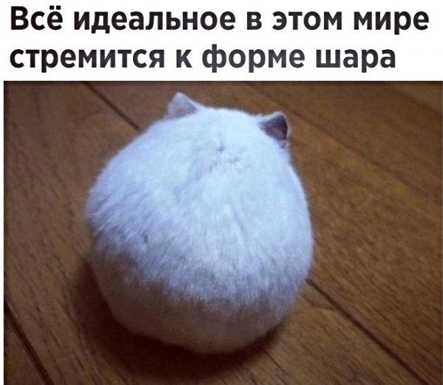 Всё идеальное в этом мире стремится к форме шара