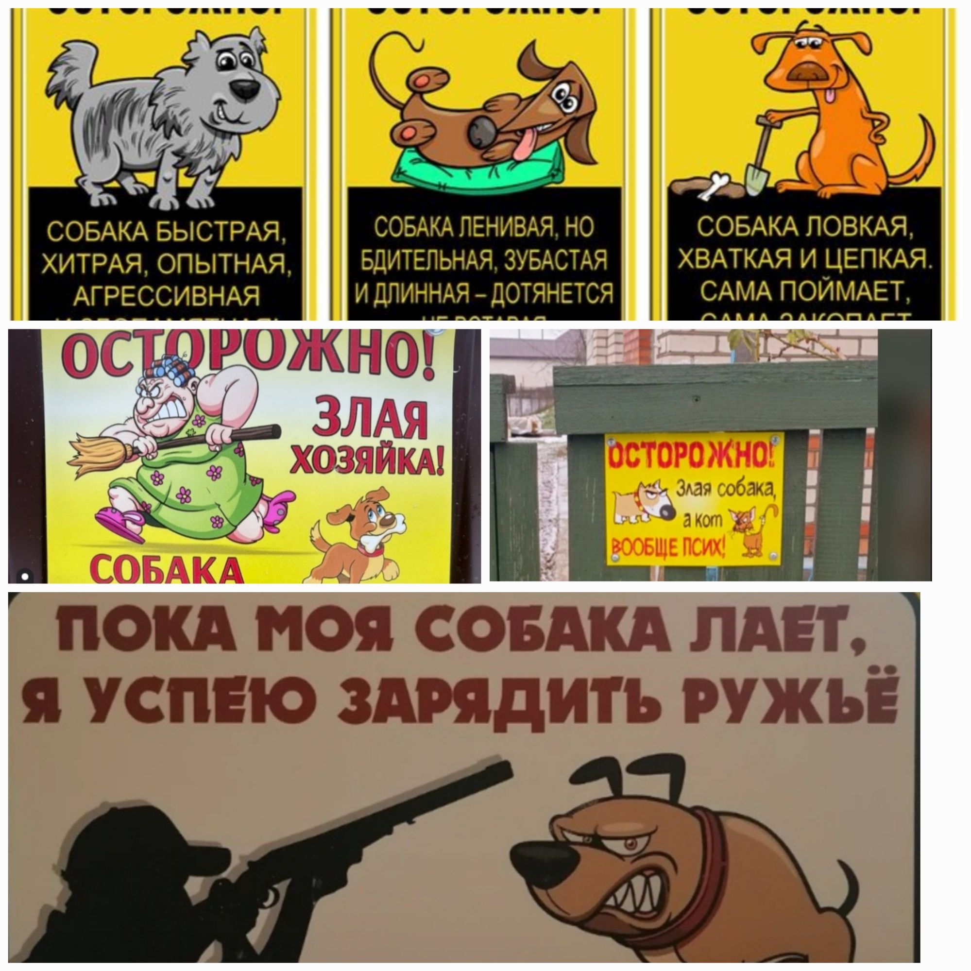 Собака быстрая, хитрая, опытная, агрессивная
Собака ленивых, но бдительная, зубастая и длинно -дотянется
Собака ловкая, хваткая и цепкая, сама поймает
ОСТОРОЖНО! ЗЛАЯ ХОЗЯЙКА!
Собака!
ОСТОРОЖНО! Злая собака!
Пока моя собака лает, я успею зарядить ружьё.