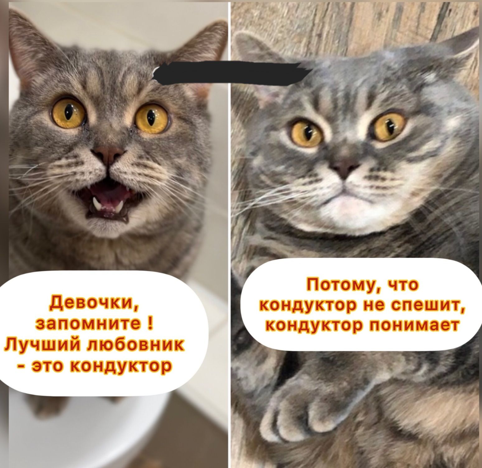 Девочки, запомните ! Лучший любовник - это кондуктор. Потому, что кондуктор не спешит, кондуктор понимает.
