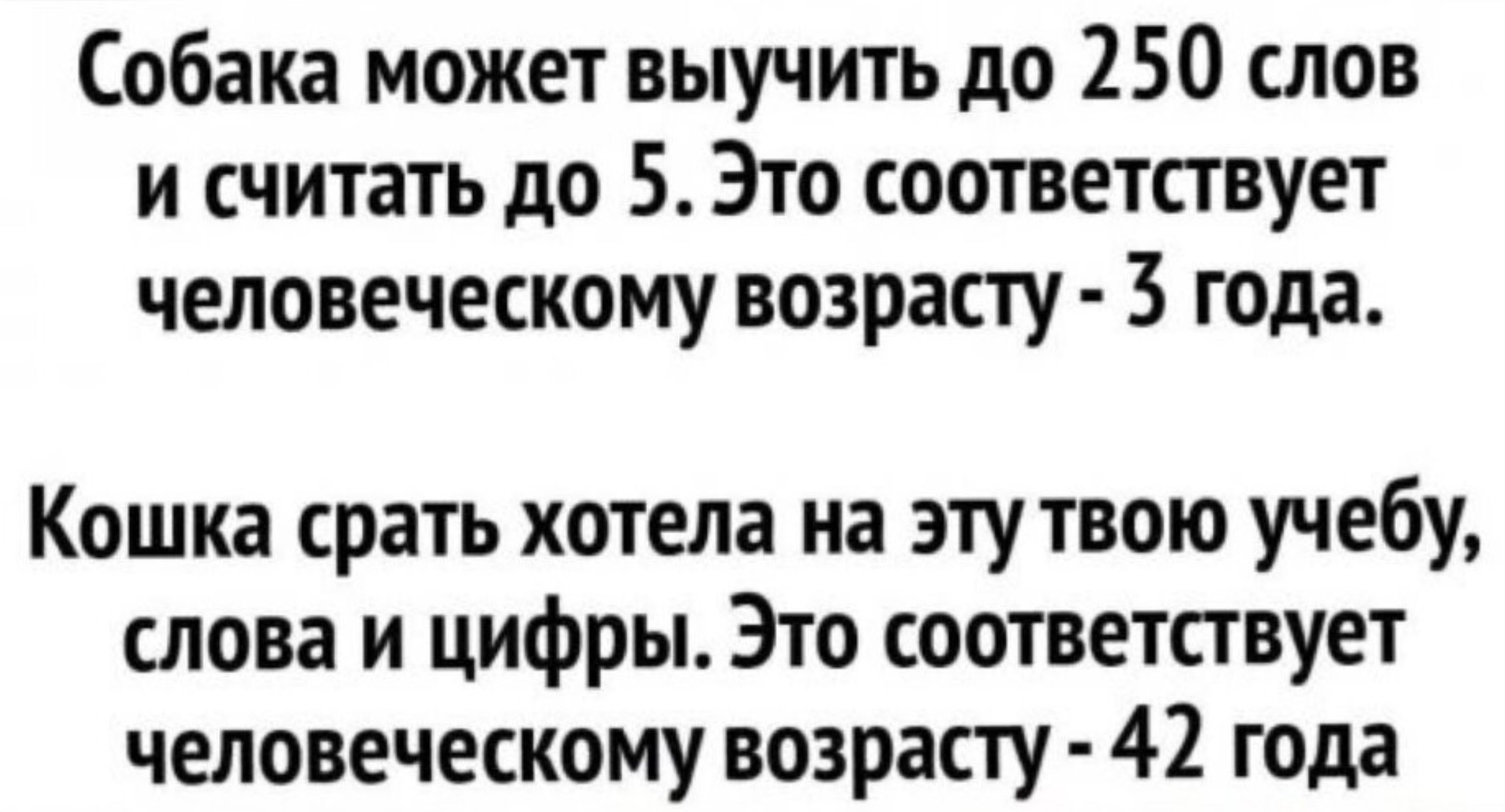 Собака может выучить до 250 слов и считать до 5. Это соответствует человеческому возрасту - 3 года.
Кошка срать хотела на эту твою учёбу, слова и цифры. Это соответствует человеческому возрасту - 42 года.