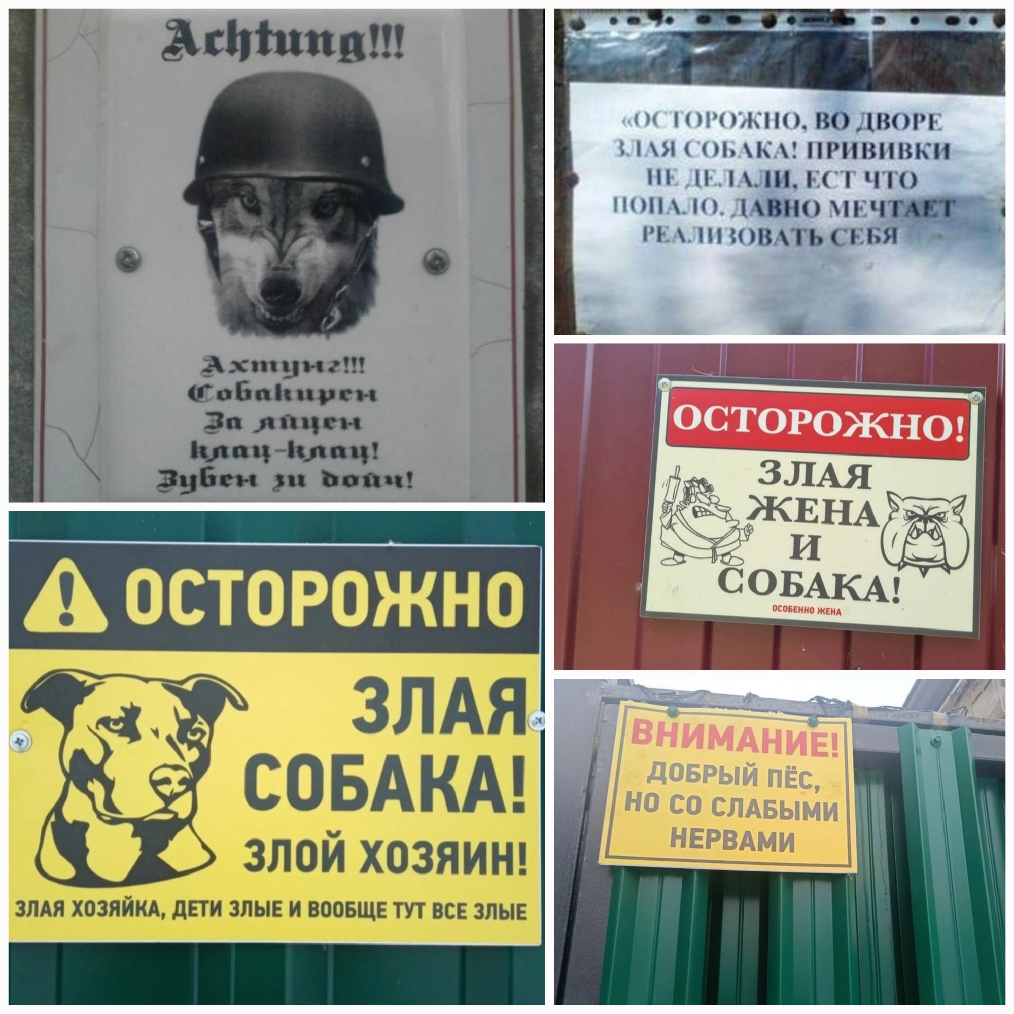 Achtung!!!
Активизироваться за Яжую!
Зубы на готове!
ОСТОРОЖНО, В ДВОРЕ ЗЛАЯ СОБАКА! ПРИВЫЧКИ МНЕ ДЕЙЛИ, ЕСЧТО ПОПАДО.
ОСТОРОЖНО! ЗЛАЯ ЖЕНА И СОБАКА!
ОСТОРОЖНО ЗЛАЯ СОБАКА! ЗЛОЙ ХОЗЯИН!
ВНИМАНИЕ! Добрый пес, но со слабыми нервами.
