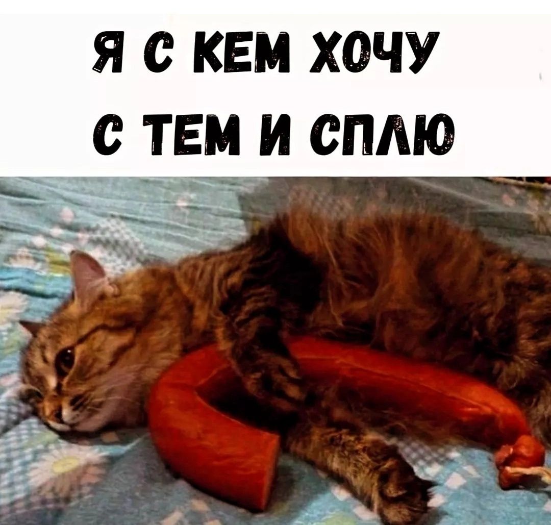 Я с кем хочу с тем и сплю