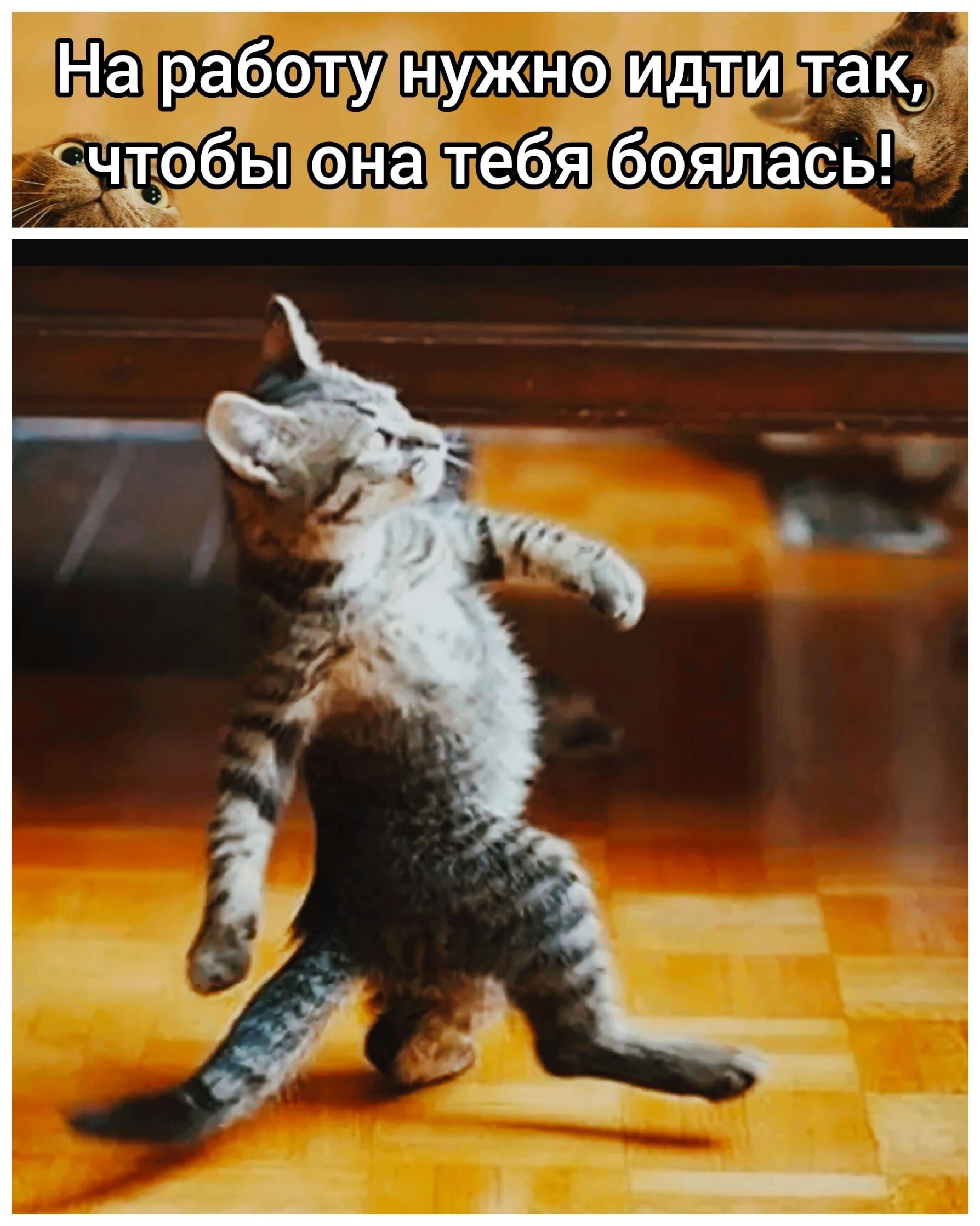 На работу нужно идти так, чтобы она тебя боялась!