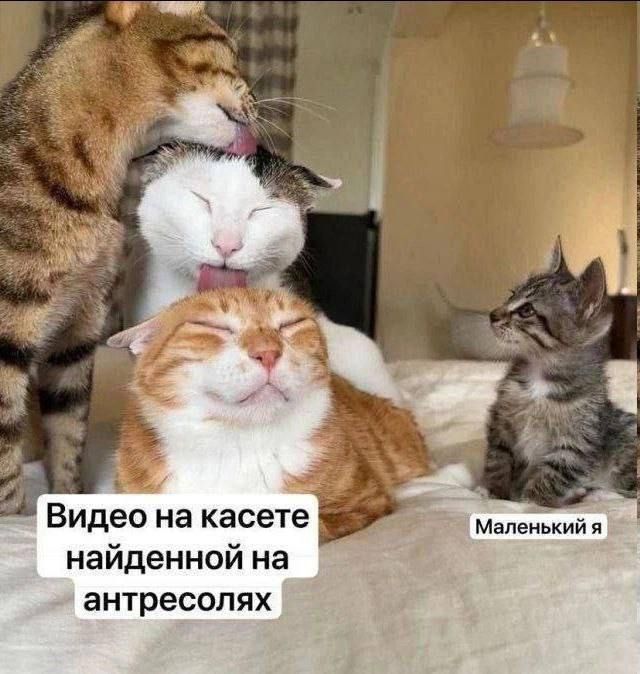 Видео на касете найденной на антресолях
Маленький я