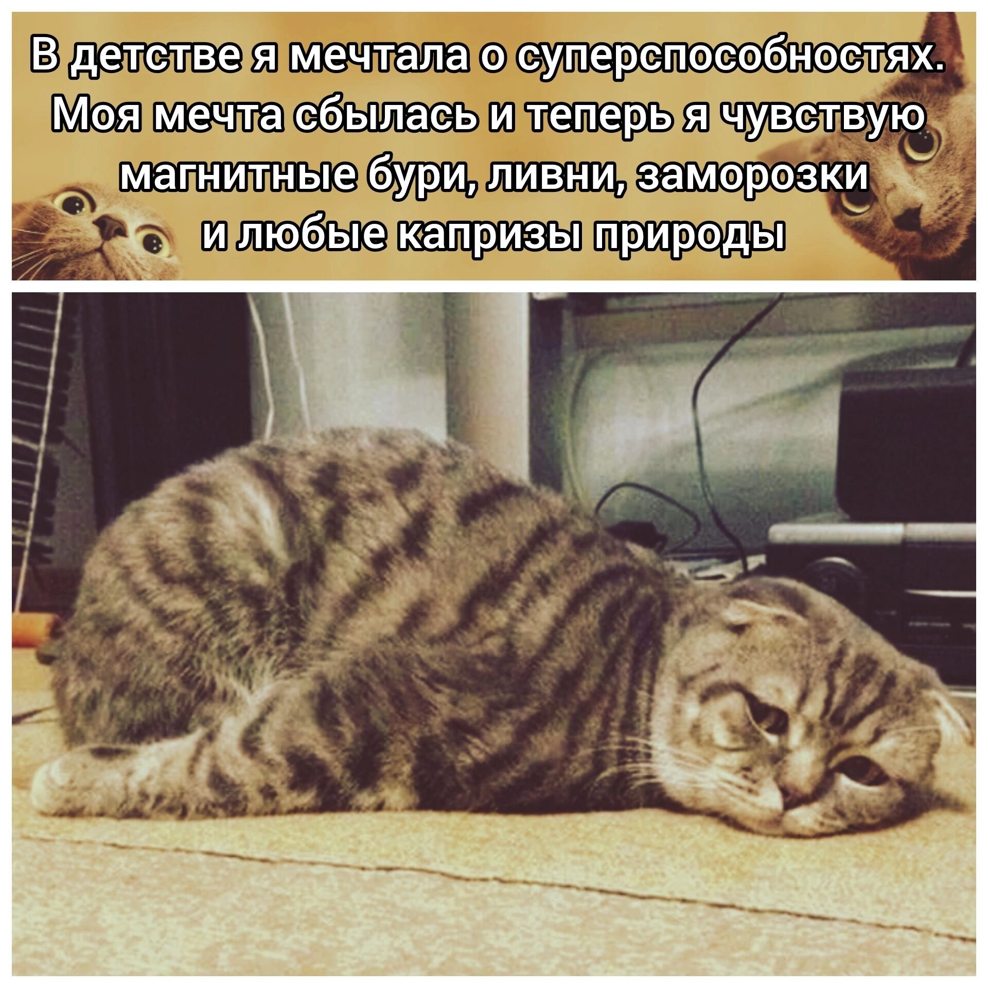 В детстве я мечтала о суперспособностях. Моя мечта сбылась и теперь я чувствую магнитные бури, ливни, заморозки и любые капризы природы.