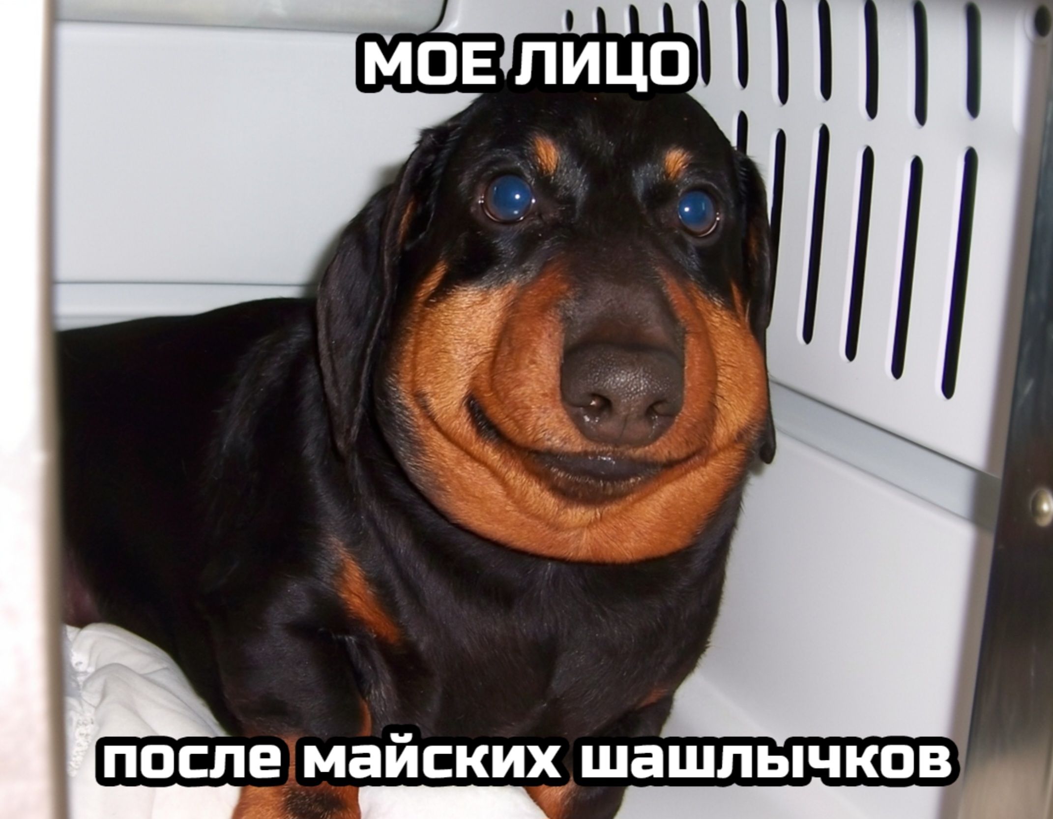МОЕ ЛИЦО
после майских шашлычков