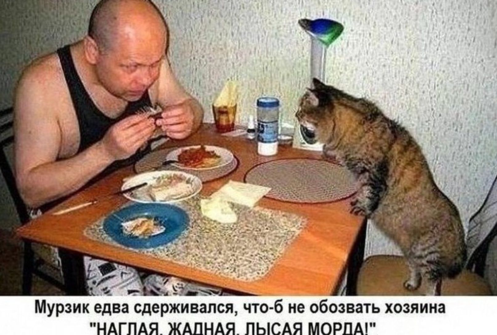 Мурзик едва сдерживался, что-б не обозвать хозяина 