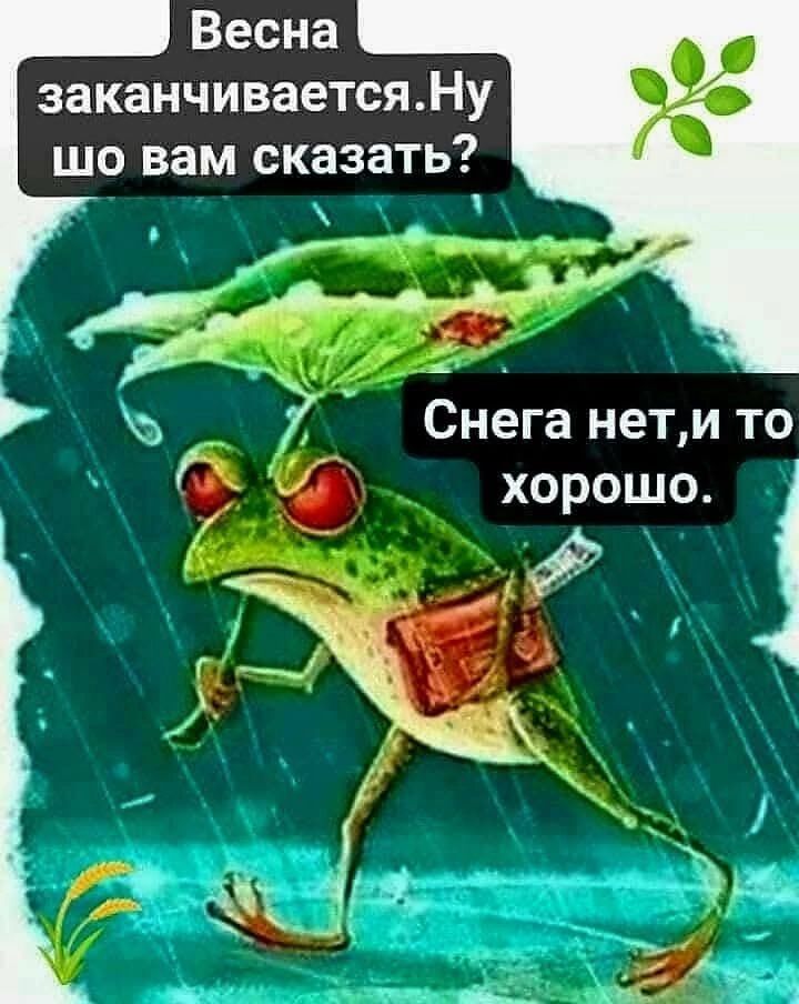 Весна заканчивается. Ну шо вам сказать? Снега нет, и то хорошо.