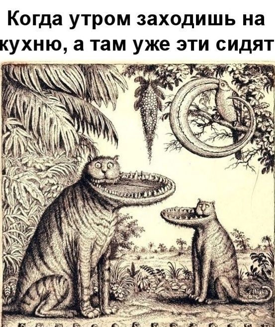 Когда утром заходишь на кухню, а там уже эти сидят