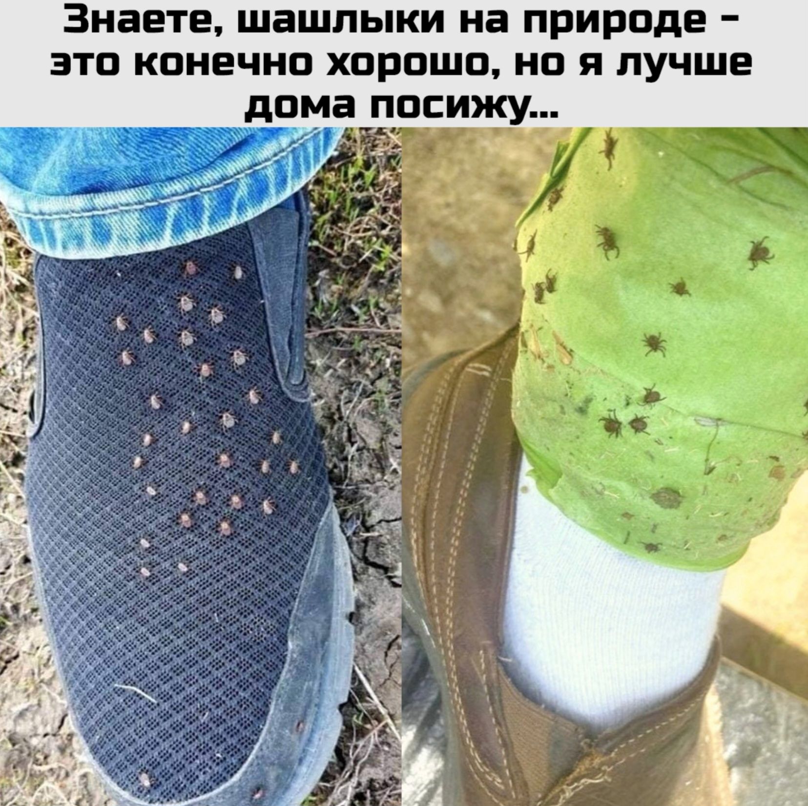 Знаете, шашлыки на природе – это конечно хорошо, но я лучше дома посижу...