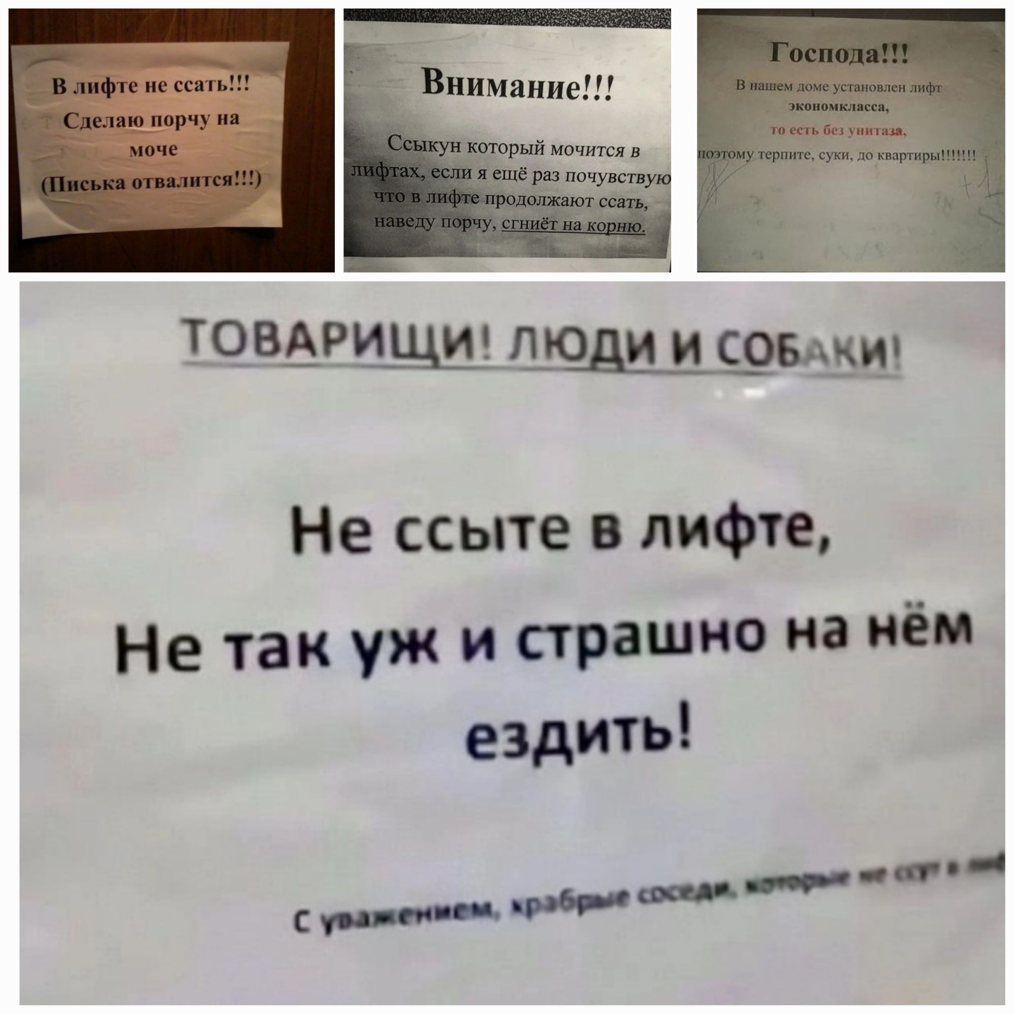 В лифте не сссите!!! Сделано порчу на моче (Пыжись толстым!!!)
Внимание!!!
Господа!!!
Секунд, который можно мочиться в лифте, если и ещё раз прощу, то в лифте придется сесть сюда - говорю, что сиди сиди.
ТОВАРИЩИ! ЛЮДИ И СОБАКИ!
Не ссите в лифте,
Не так уж и страшно на нём ездить!
С уважением, crabри соседи, которые не сс..т в лифте.