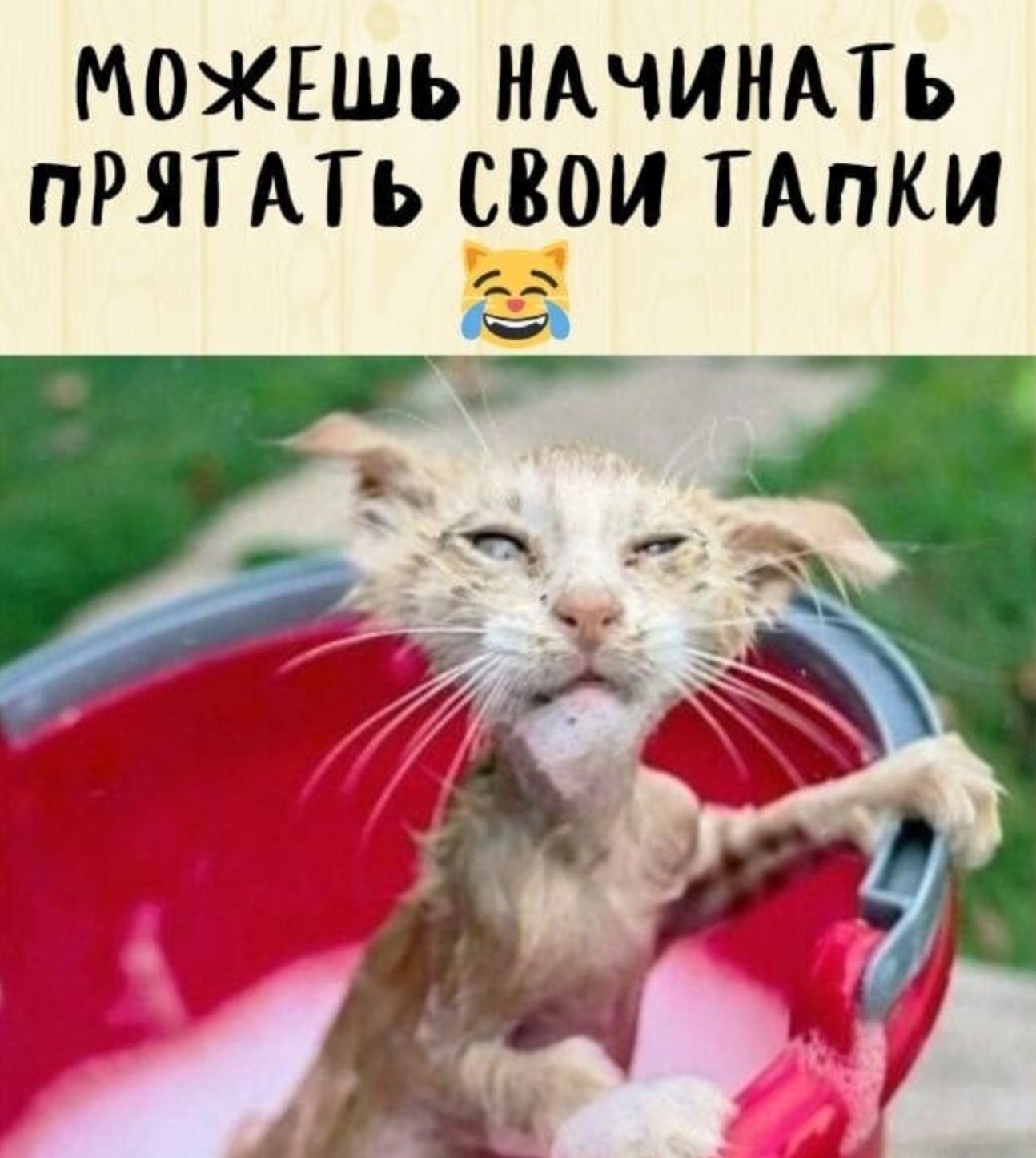 МОЖЕШЬ НАЧИНАТЬ ПРЯТАТЬ СВОИ ТАПКИ